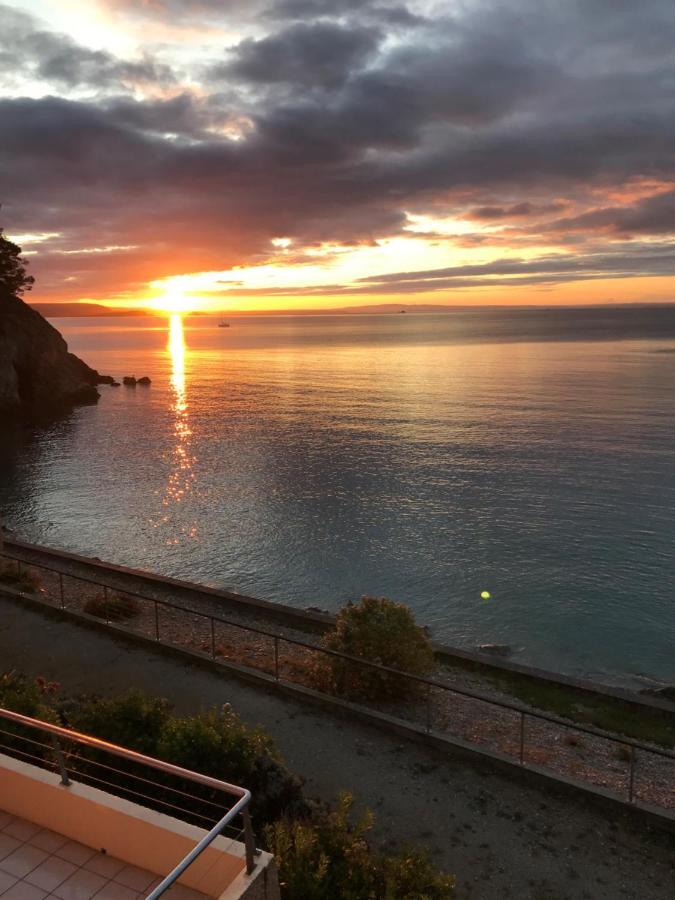 Appartement Cosy Les Pieds Dans L'Eau, Vue Mer Exceptionnelle クロゾン エクステリア 写真